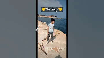 قومت رقصت بسكنتين Hazem Elgaml The King Funny Loe3 Edit اكسبلور 