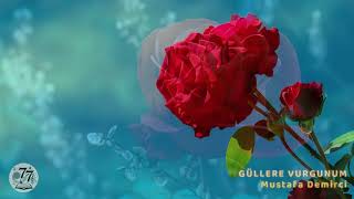 Mustafa Demirci - Güllere Vurgunum