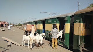 AGE 30 6005 and HBU 20 8053 Locomotive||Standing at Multan||Musa Pak Express