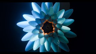 : FANTASY FLOWER