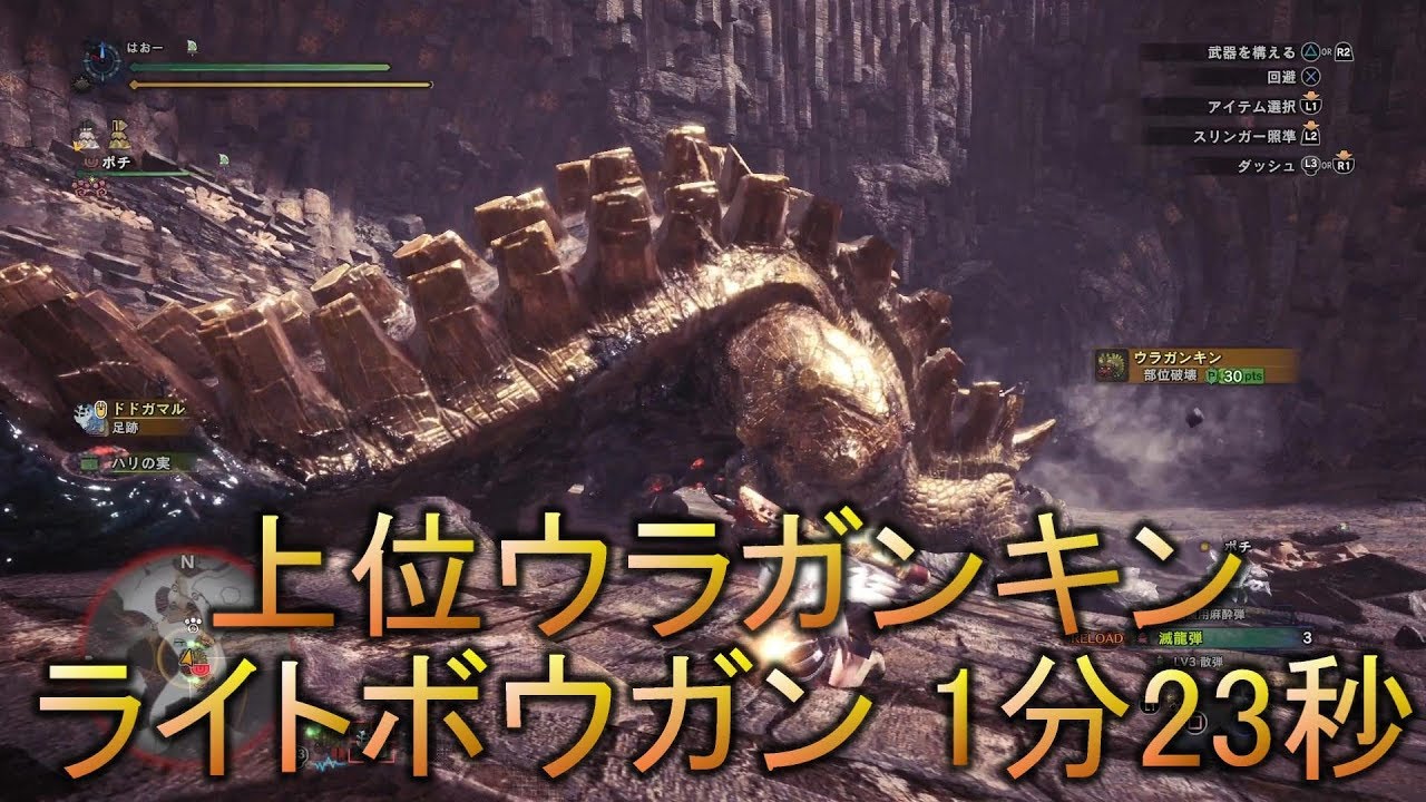 Mhw どの弾を撃てばいい 敵別に解説 その３ はおーのゲーム攻略ブログ