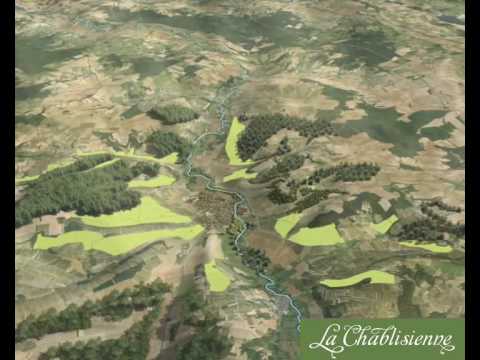 Chablis and its vineyards