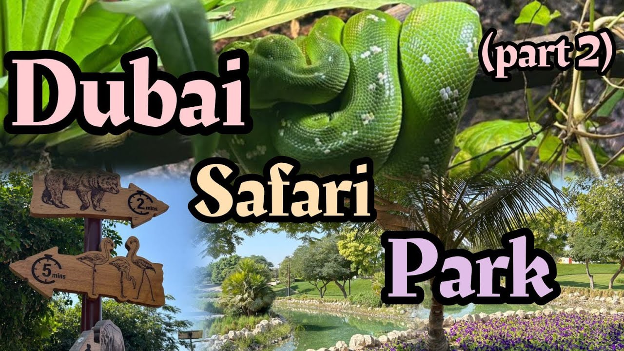 Discover the wonders of Dubai Safari Park || Filled with numerous Animal Encounters and activities