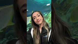 A day in the life of a Professional Mermaid 🧜‍♀️ #professionalmermaid #mermaid #aquarium