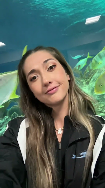 A day in the life of a Professional Mermaid 🧜‍♀️ #professionalmermaid #mermaid #aquarium