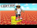 Obby, But I CAN'T SEE ANYTHING! 😰 - Roblox