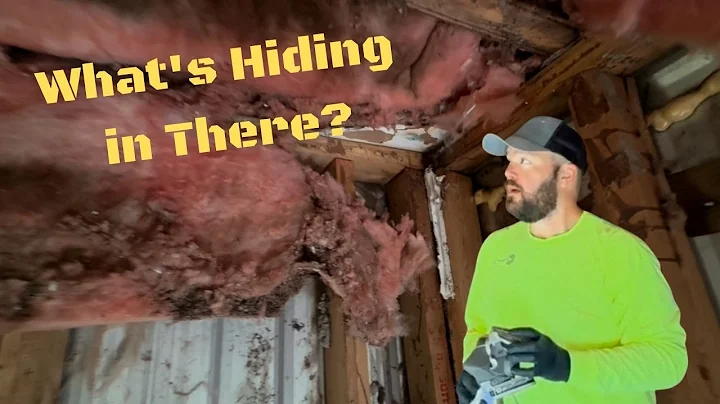 We Found THIS in the Ceiling — Mobile Home Remodel Ep. 2 - DIY Mobile home repair