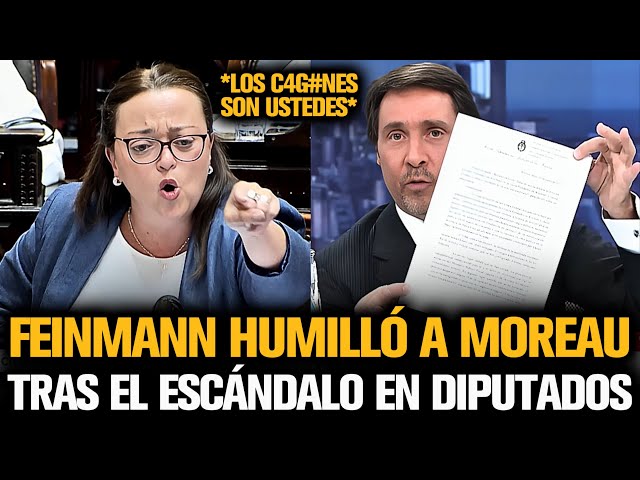 FEINMANN HUMILLÓ A MOREAU TRAS EL ESCÁNDALO EN DIPUTADOS POR ESPERT