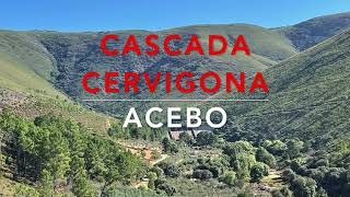 RUTA CASCADA CERVIGONA. Acebo
