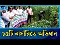 ইউক্যালিপটাস-আকাশমনি চারা ধ্বংস | Environmental Protection  | Rtv News