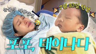 Download Lagu 만나서 반가워, 포포야👼🏻💖 (제왕절개 리얼 후기, 후불 고통 시작...★) MP3 Download Lagu 만나서 반가워, 포포야👼🏻💖 (제왕절개 리얼 후기, 후불 고통 시작...★) MP3