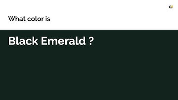 Black Emerald color #12221d hex color - Green color - Warm color 12221d