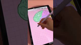 take notes with me 💗 digital note taking | samsung galaxy tab s9 | penly app ✍️