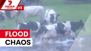 South Australia's winter deluge causes road chaos | 7NEWS