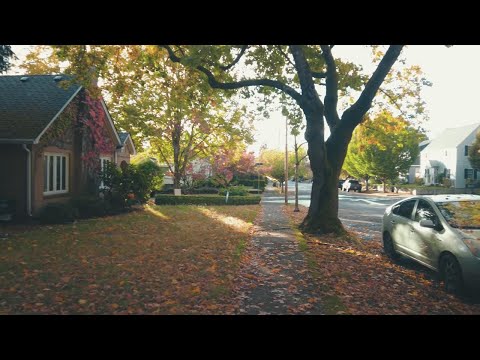 Vancouver, Washington Fall Walk 2025