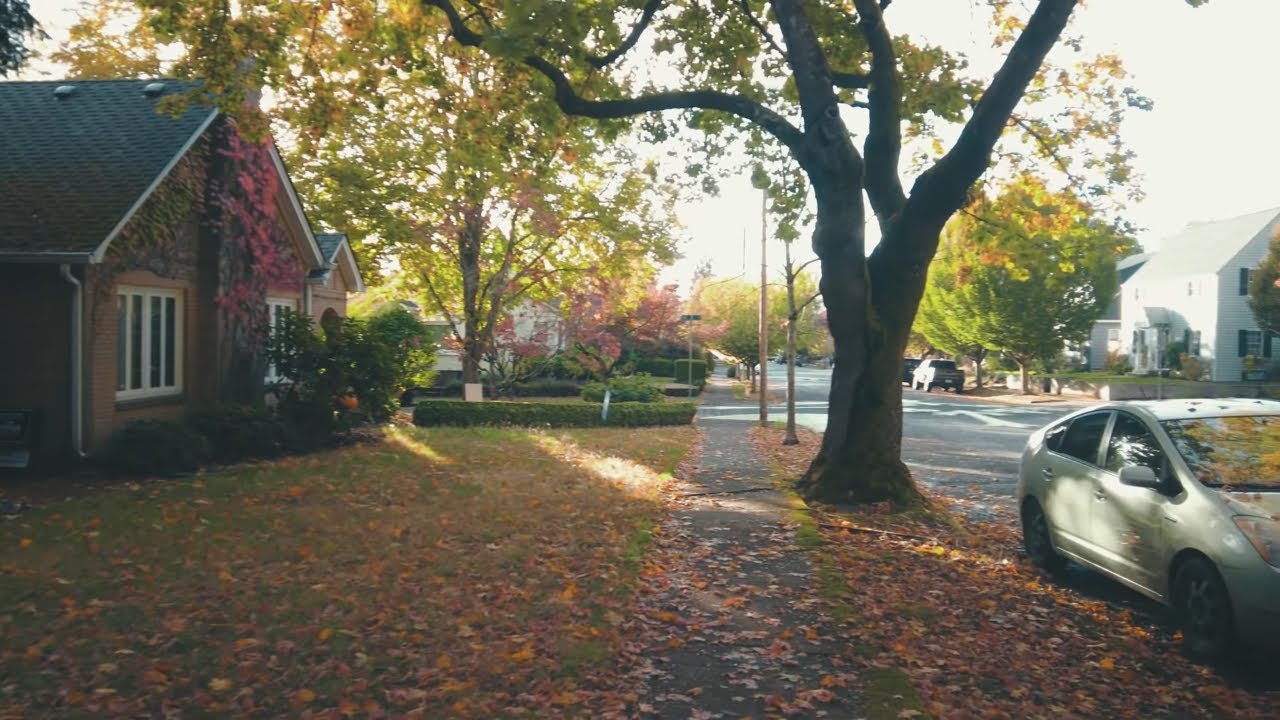 Vancouver, Washington Fall Walk 2025