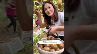 Beer Song Yama di Yama di #song #movie #music #agricultural Beer Song Yama di Yama di #song #movie #music #agricultural