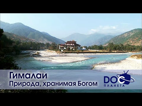 Гималаи - Фильм 3. Природа, хранимая богом - Документальный фильм