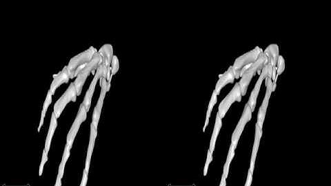 OpenGL Stereo Rendering with Equalizer