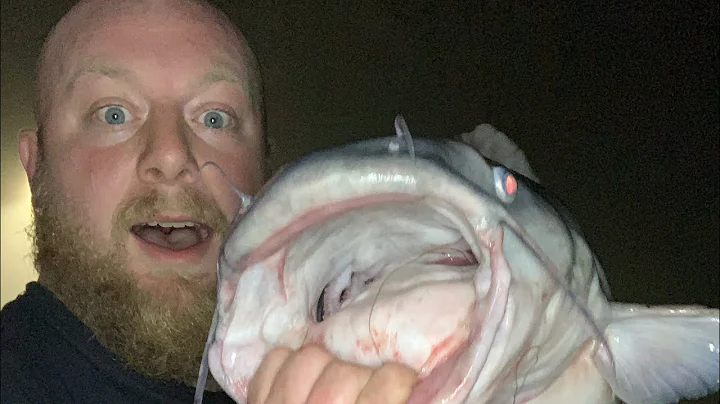 Blue cats on Kanawha River