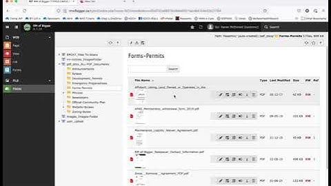 TYPO3 Back End Editing widgets and files.