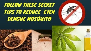 Amazing mosquito repellent tricks and some dengue killing tips please
subscribe my channel https://www./manaillutv?sub_confirmation=1
featured ...