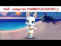 ЧАЙ - вообще средство УНИВЕРСАЛЬНОЕ!! ) Приколы от Зайки Zoobe.