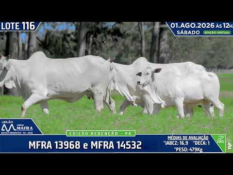 LOTE 116   MFRA 13968 e MFRA 14532