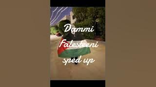 Dammi Falastini (my blood is Palestinian) by Mohammed Assaf - sped up