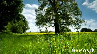 Sajil Youtube Channel Nature Video Nice