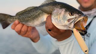 Summer Topwater Tips: How To Catch Big Trout, Redfish, And Snook