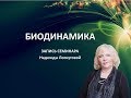 Соматическая Биодинамика. Авторский метод Надежды Лоскутовой