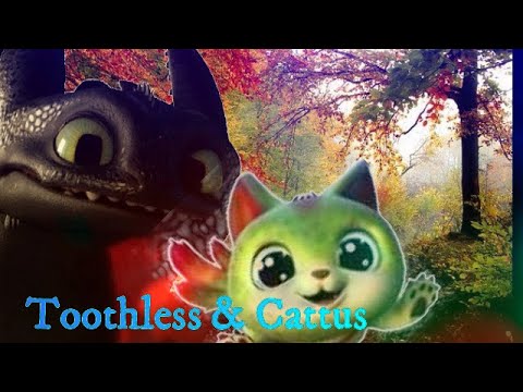 Toothless & Cattus {Crossover} - Animals
