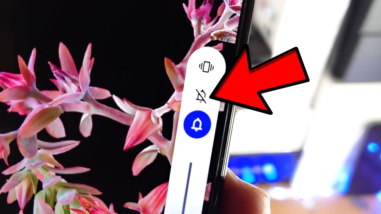 How To Put Google Pixel 6 / 6 Pro in Silent Mode! [& exit] - YouTube