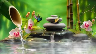 Relaxing Zen Music - Meditation Music, Peaceful Music, Bamboo, Relaxing Music, Nature Sounds, Spa