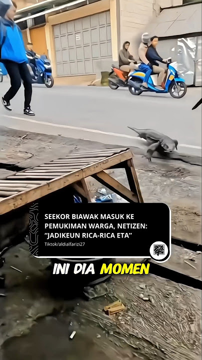 A lizard entered the shop window😭🤣 #lizard #shorts