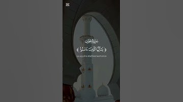 سورة الاحزاب راحة نفسية جمعة مباركة 💖🌹🌸