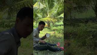 ទំនេរស្រោចទឹកដូង #farming #fruit #coconut