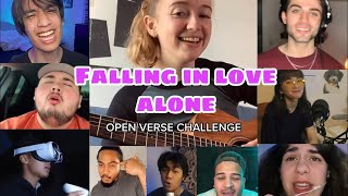 Falling In Love Alone By Stacey Ryan , Open Verse 