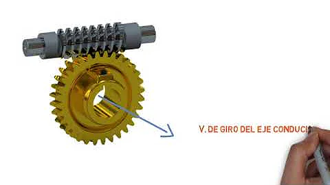 ¿Qué función tiene un tornillo sin fin?