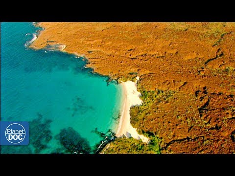 Islas Canarias - Documental Completo