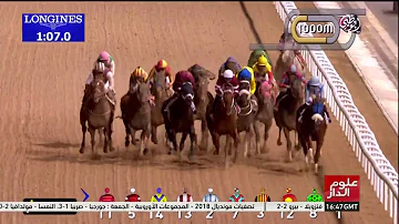 شاهدوا أغلى سباق خيول في العالم " كأس دبي بالعالمي"