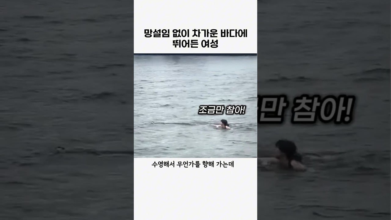 망설임 없이 바다에 뛰여든 여성 #고양이#감동#동물구조#animal