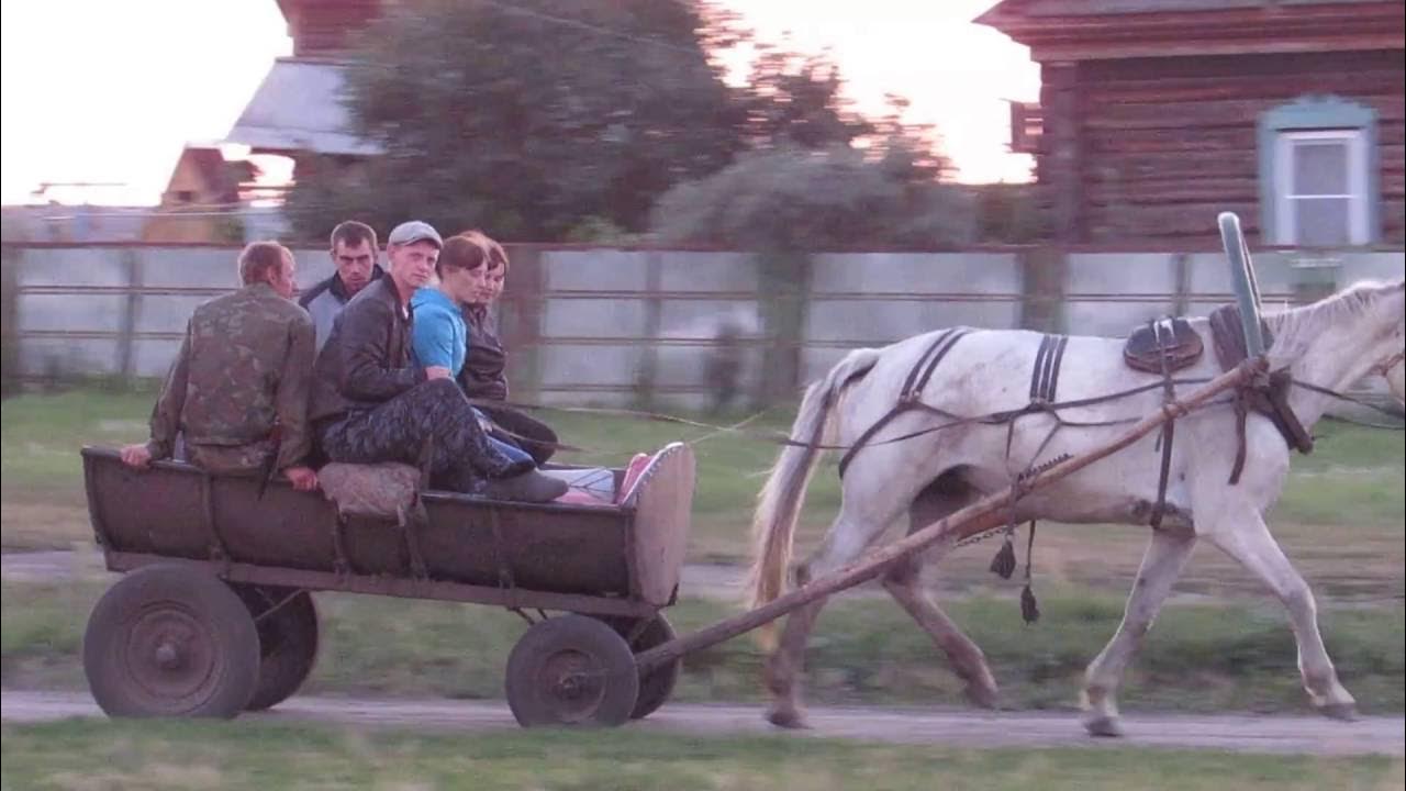 Бричка ехала прямо а мельница почему то. Повозка с лошадью. Телега с лошадью. Повозка с людьми. Конь с телегой.