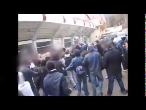 დაპირისპირება დინამოს ფანებსა და ბოლნისელ ქომაგებს შორის