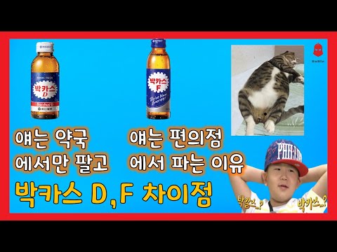 박카스 D와 F의 차이점