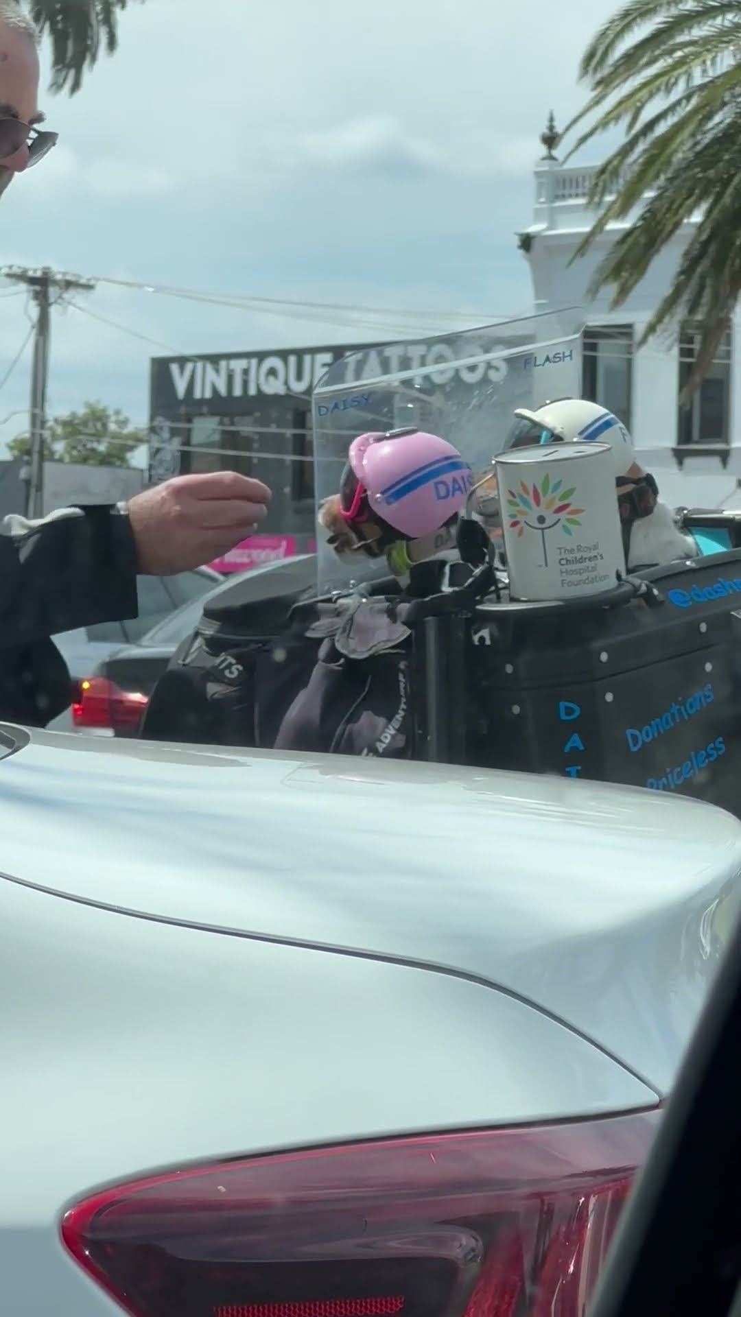 Motorcycle Puppies Raise Money For Children's Hospital || ViralHog
