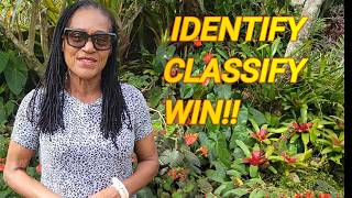 Plant Classification Made Simple for Flower Shows | How to Identify Plants Correctly