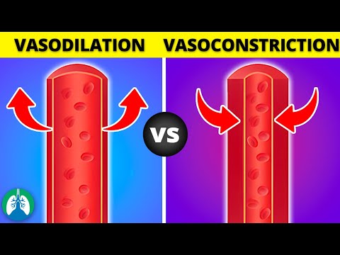 تصویری: چرا افزایش CO2 باعث اتساع عروق می شود؟