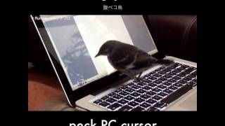 腹ペコ鳥 / Hungry bird peck PC cursor